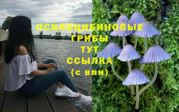 бутират Аркадак