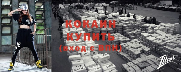 индика Армянск