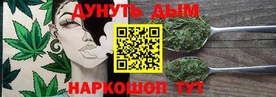 МДПВ Обь