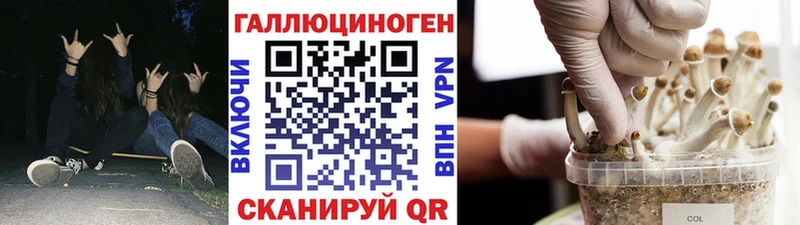 omg зеркало  купить закладку  Шадринск  Псилоцибиновые грибы GOLDEN TEACHER 