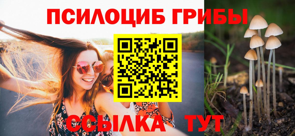 Галлюциногенные грибы Cubensis Шадринск