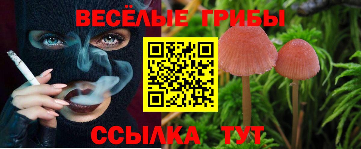 дарнет шоп  Псилоцибиновые грибы Magic Shrooms  Вход с VPN  Шадринск  Галлюциногенные грибы ЛСД 